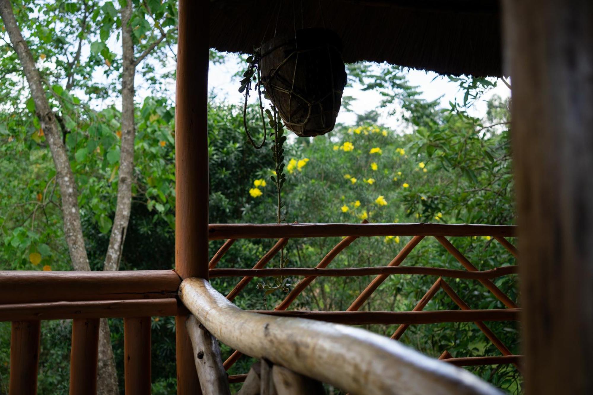 Dave The Cave Eco Lodge And Cultural Campsite Rubirizi Extérieur photo